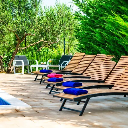 Sunsplash Sanctuary